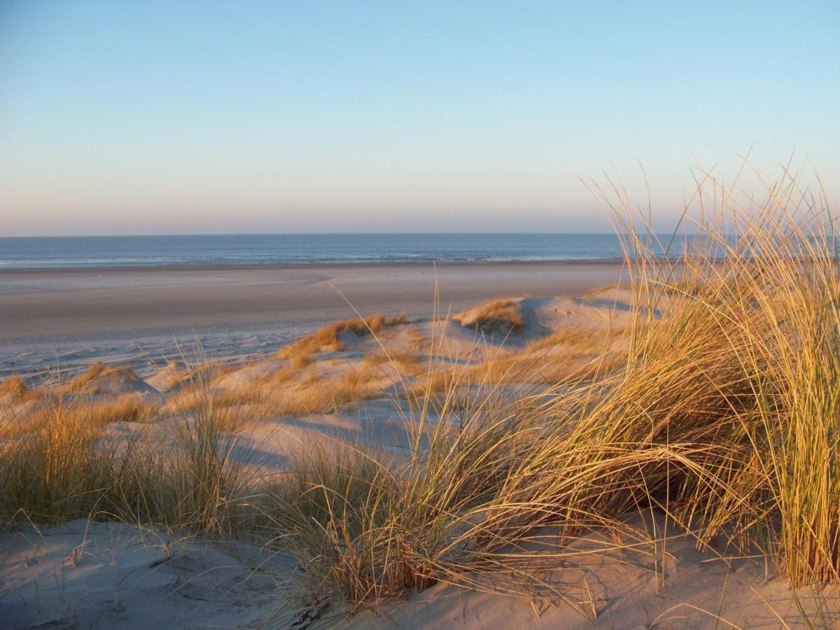 Doniastate Vlieland