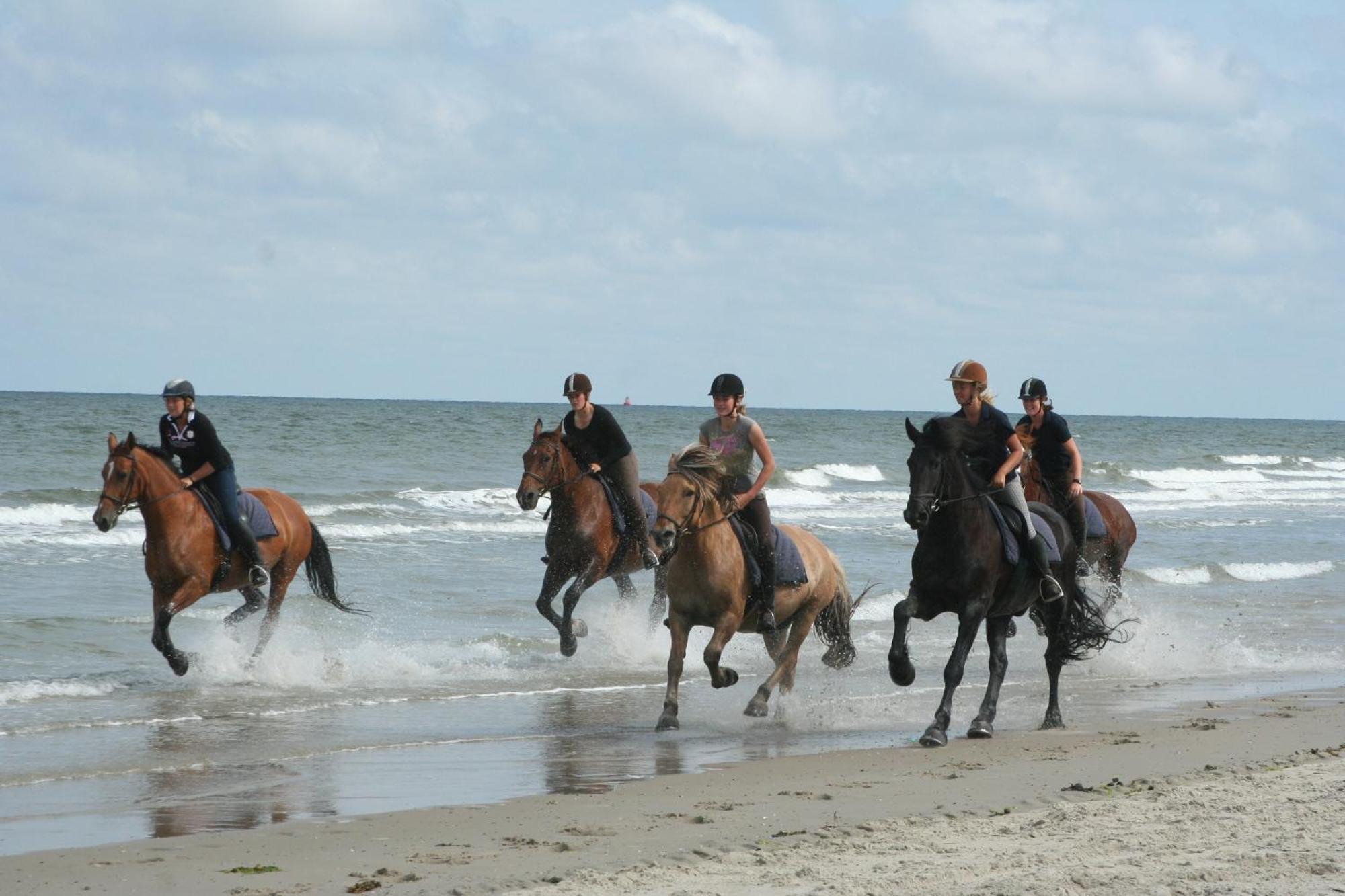 Doniastate Hotel Vlieland
