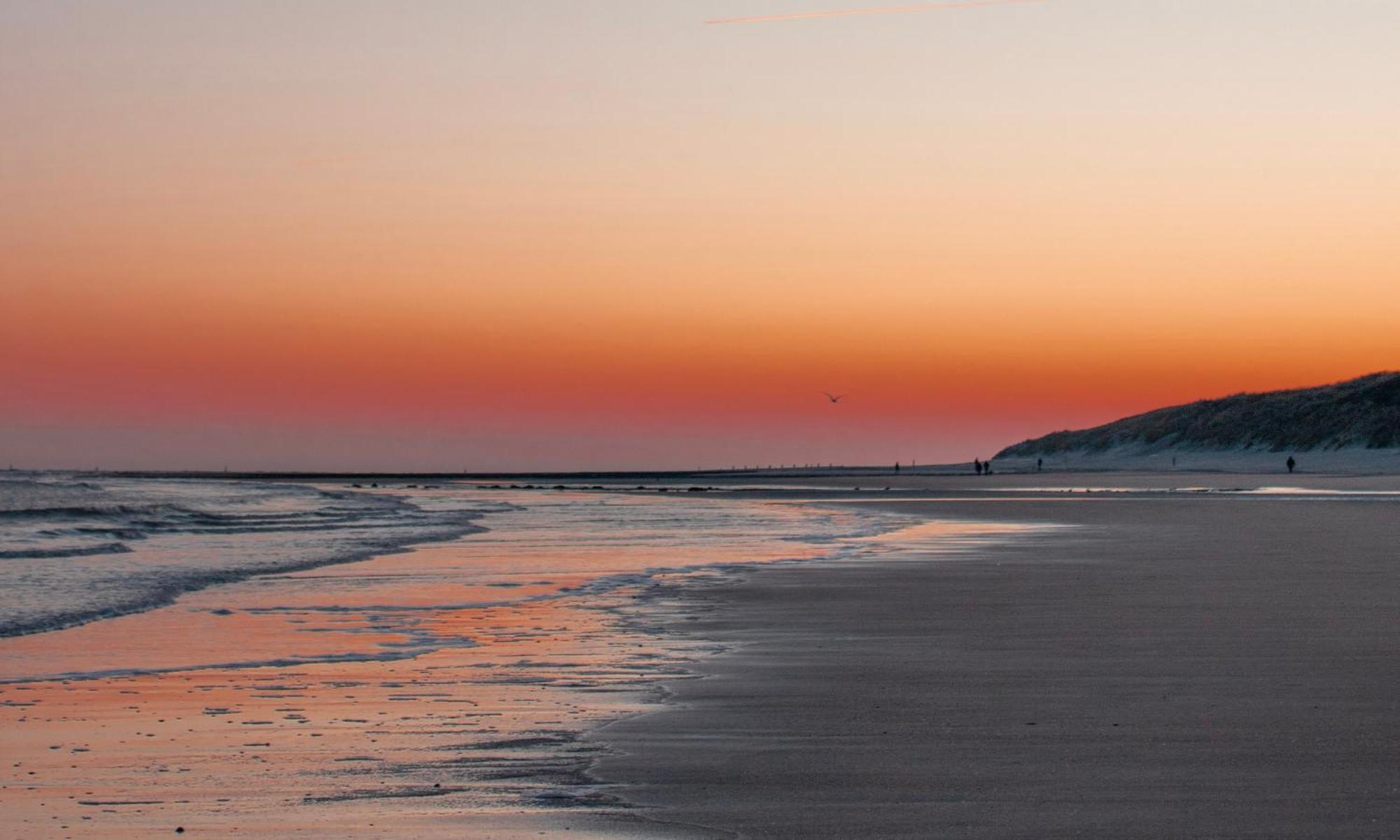 Doniastate Vlieland